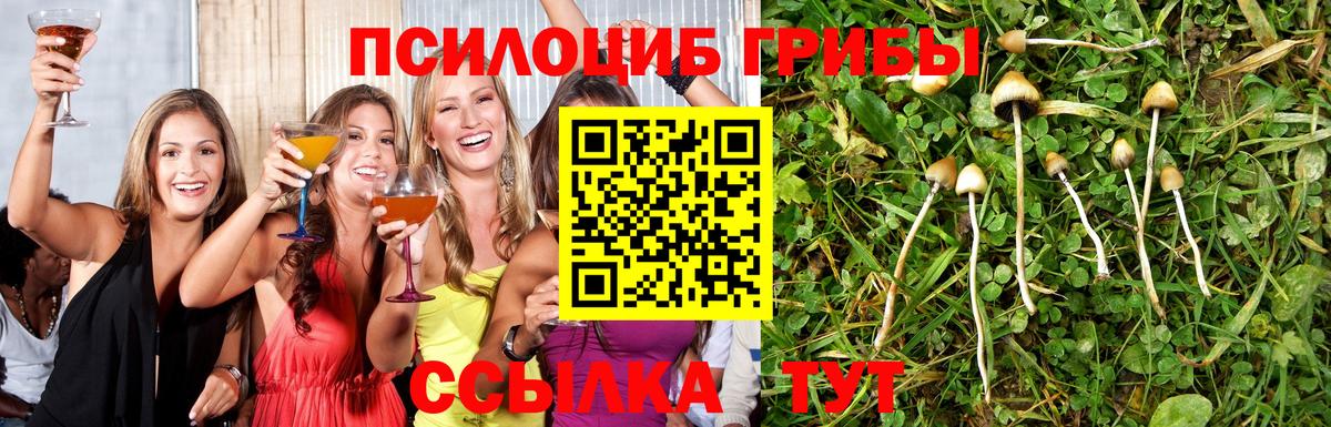 Галлюциногенные грибы Psilocybine cubensis Дзержинск